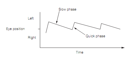 821_Gaze stabilization.png